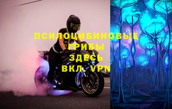 сатива Ступино