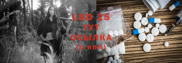 spice Струнино