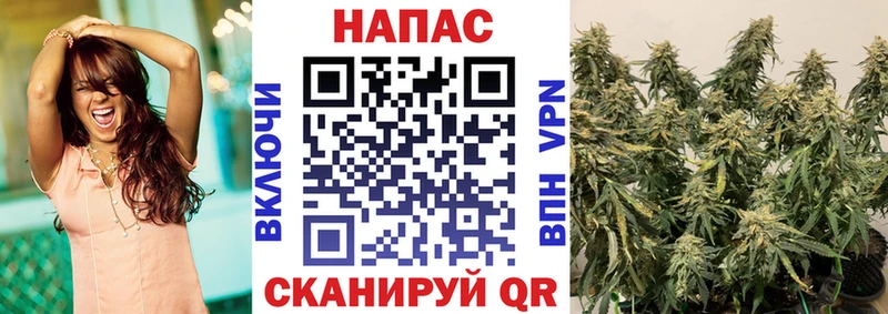 Канабис Amnesia Киселёвск